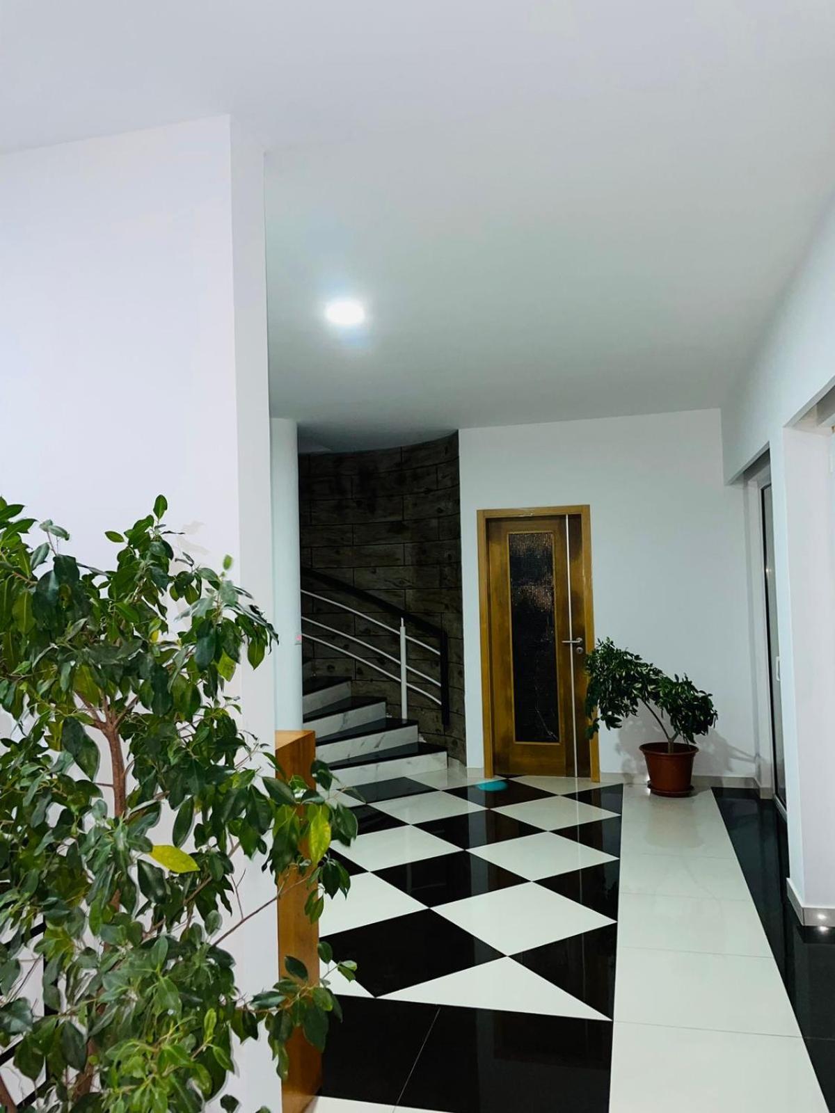 Bed and Breakfast Residencial Sol Point Art Ponta Do Sol Exterior foto